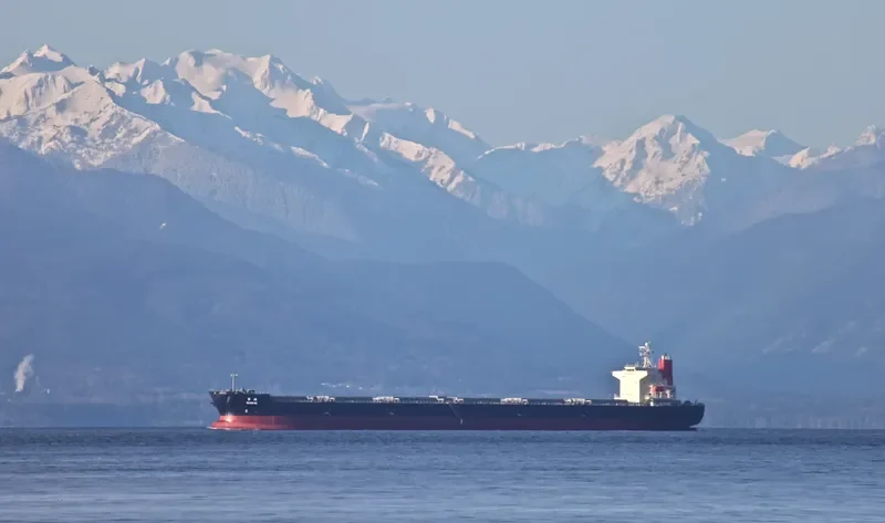 SUIKAI Bulk Carrier IMO 9374179 photo 8