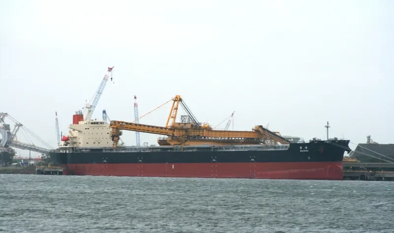 SUIKAI Bulk Carrier IMO 9374179 photo 9