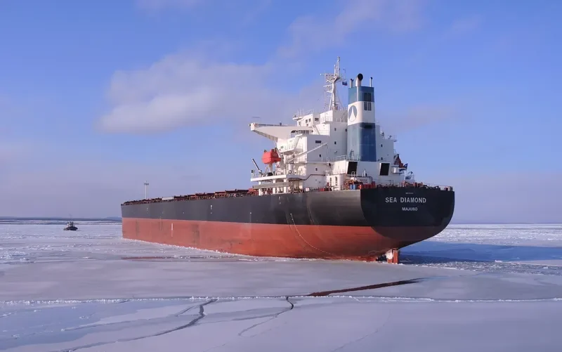 SEA DIAMOND Bulk Carrier IMO 9374181