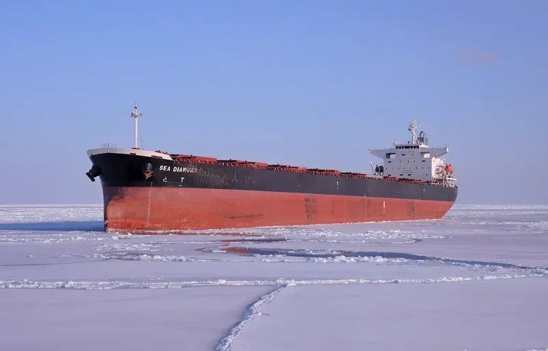 SEA DIAMOND Bulk Carrier IMO 9374181 photo 3