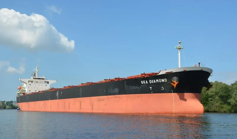 SEA DIAMOND Bulk Carrier IMO 9374181 photo 6