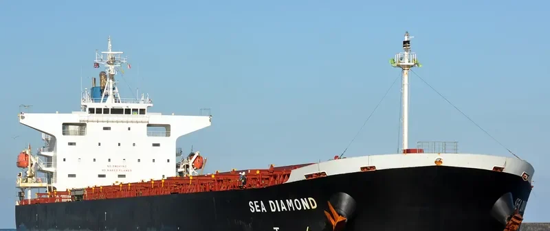 SEA DIAMOND Bulk Carrier IMO 9374181 photo 9