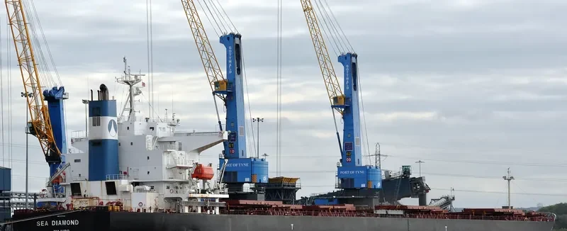 SEA DIAMOND Bulk Carrier IMO 9374181 photo 11