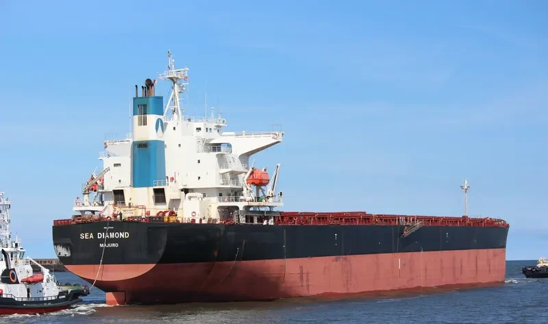 SEA DIAMOND Bulk Carrier IMO 9374181 photo 15