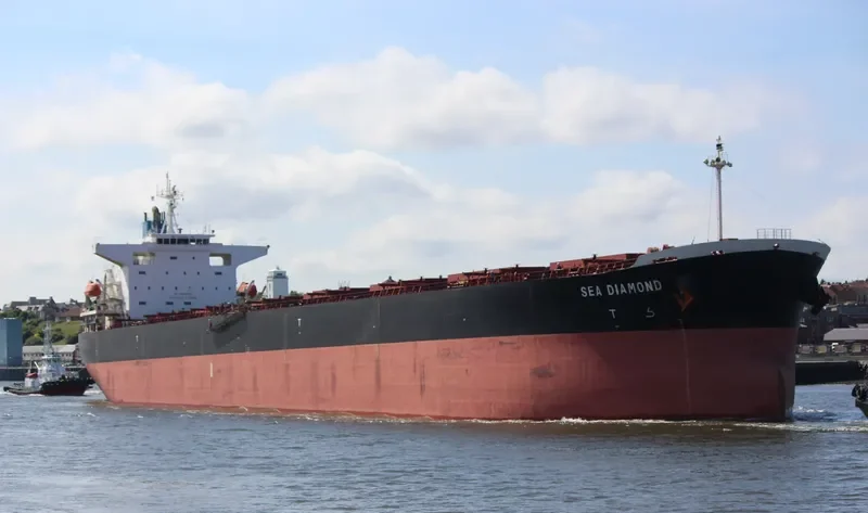 SEA DIAMOND Bulk Carrier IMO 9374181 photo 28