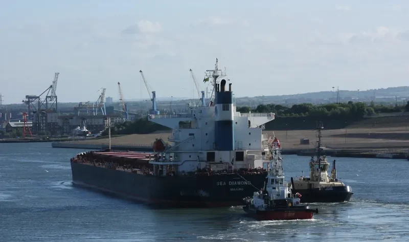 SEA DIAMOND Bulk Carrier IMO 9374181 photo 29