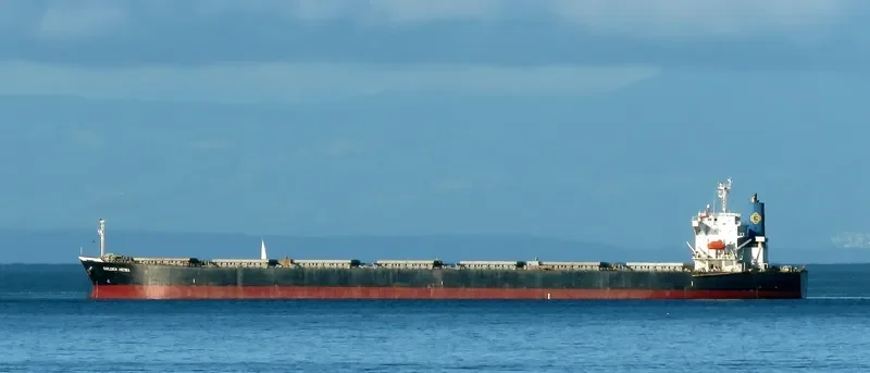 KONA TRADER Bulk Carrier IMO 9374208