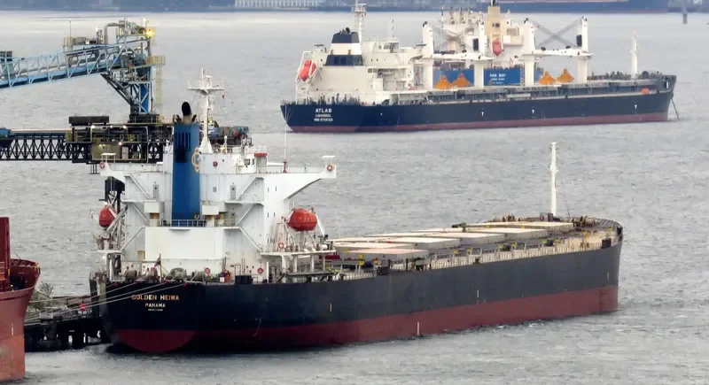 KONA TRADER Bulk Carrier IMO 9374208 photo 2