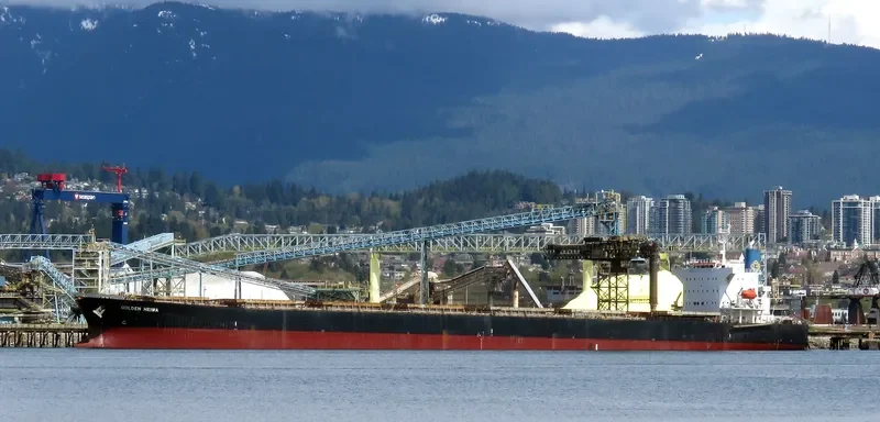 KONA TRADER Bulk Carrier IMO 9374208 photo 3
