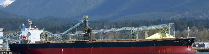 KONA TRADER Bulk Carrier IMO 9374208 photo 6