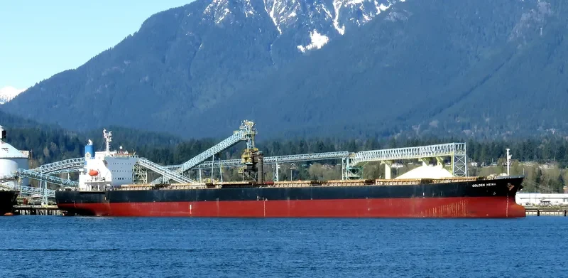 KONA TRADER Bulk Carrier IMO 9374208 photo 7