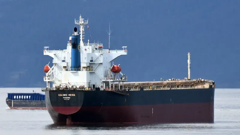 KONA TRADER Bulk Carrier IMO 9374208 photo 8