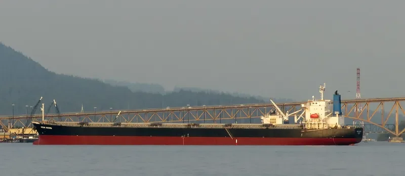 ES SAKURA Bulk Carrier IMO 9374210 photo 4