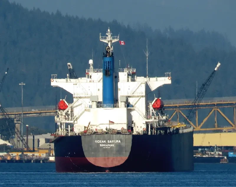 ES SAKURA Bulk Carrier IMO 9374210 photo 5