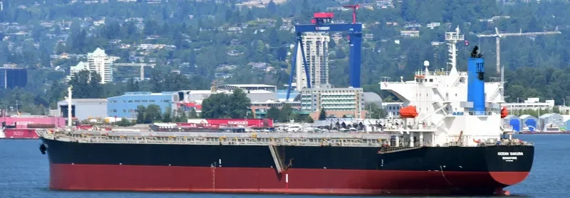 ES SAKURA Bulk Carrier IMO 9374210 photo 6