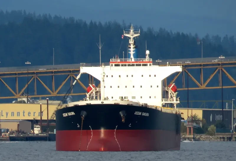 ES SAKURA Bulk Carrier IMO 9374210 photo 7