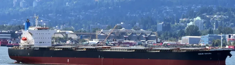 ES SAKURA Bulk Carrier IMO 9374210 photo 8