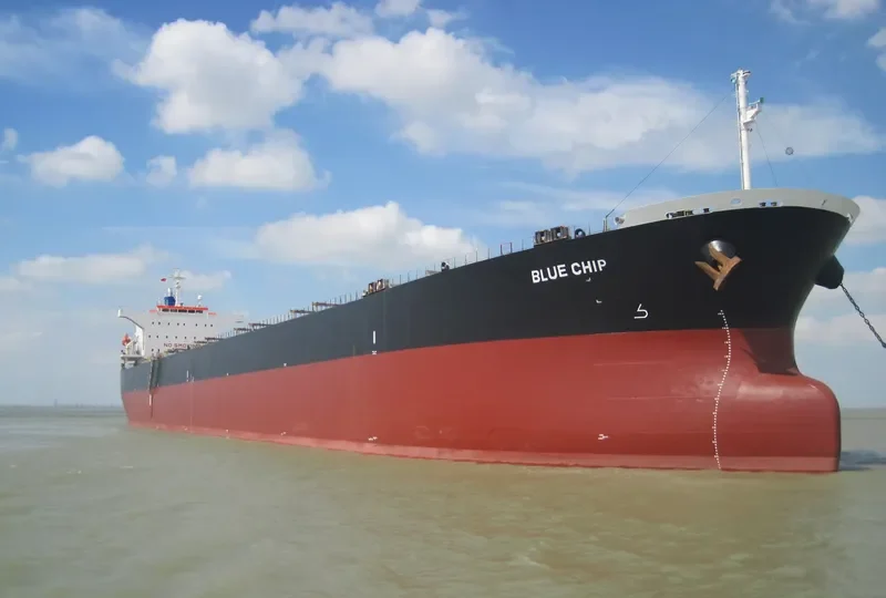 BLUE CHIP Bulk Carrier IMO 9374222 photo 3