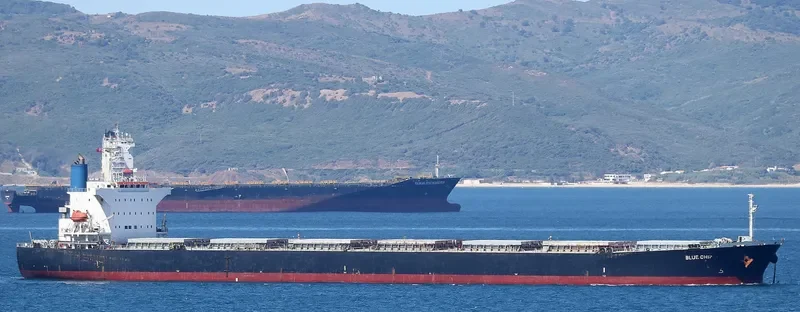 BLUE CHIP Bulk Carrier IMO 9374222 photo 4