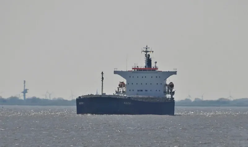 BLUE CHIP Bulk Carrier IMO 9374222 photo 5