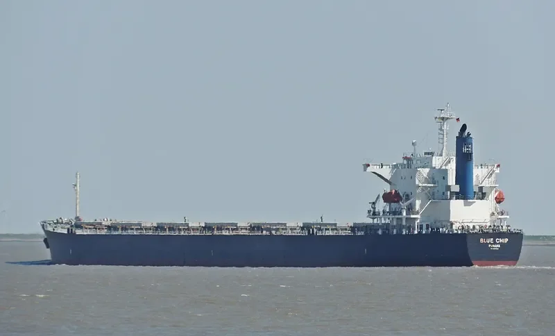 BLUE CHIP Bulk Carrier IMO 9374222 photo 6