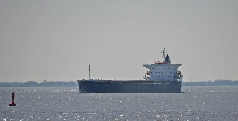 BLUE CHIP Bulk Carrier IMO 9374222 photo 8