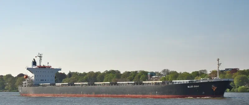 BLUE CHIP Bulk Carrier IMO 9374222 photo 9