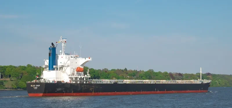 BLUE CHIP Bulk Carrier IMO 9374222 photo 10