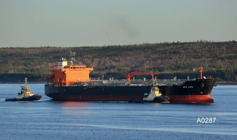 FALCON MAJESTIC Tanker IMO 9374284 photo 7