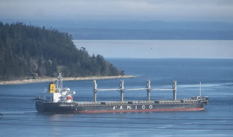 HTK DISCOVERY Bulk Carrier IMO 9374349 photo 7