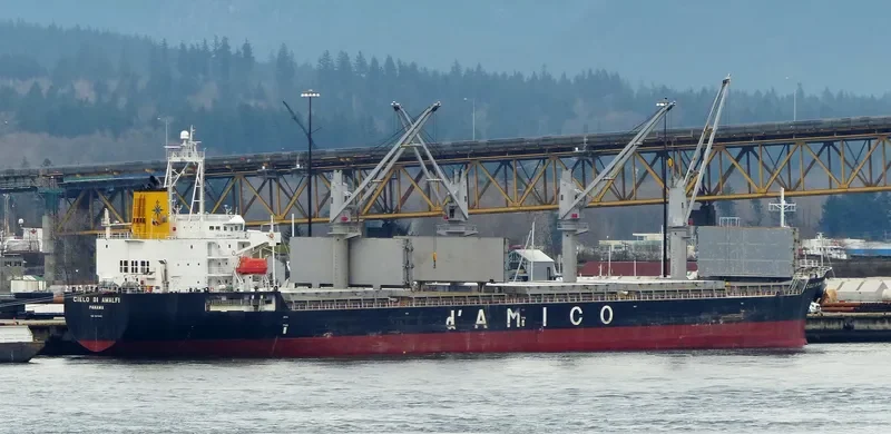 HTK DISCOVERY Bulk Carrier IMO 9374349 photo 8