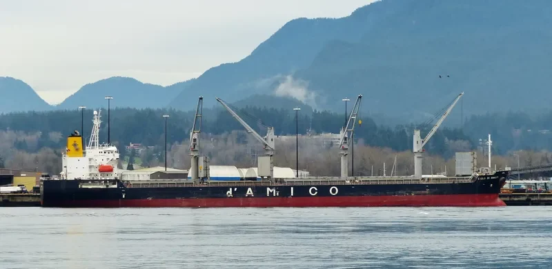 HTK DISCOVERY Bulk Carrier IMO 9374349 photo 9