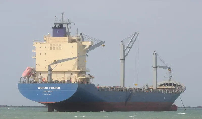 AS PETULIA Container Ship IMO 9374454