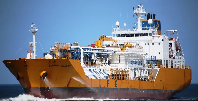 SOPHIA KOSAN General Cargo IMO 9374557 photo 6