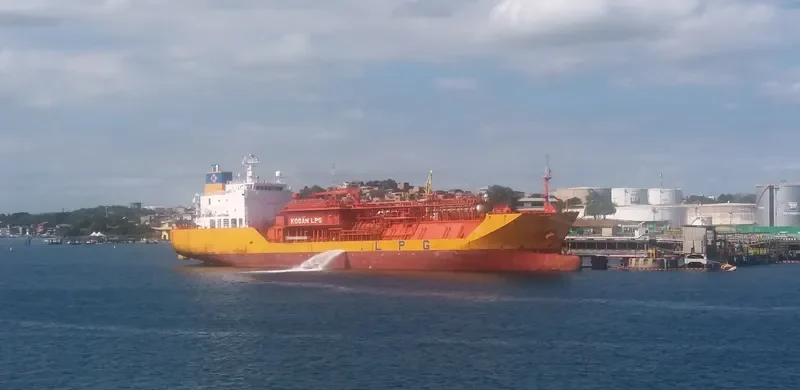 STINA KOSAN General Cargo IMO 9374569 photo 2