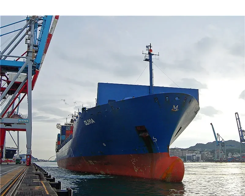 MSC EXPRESS III Container Ship IMO 9374571 photo 7