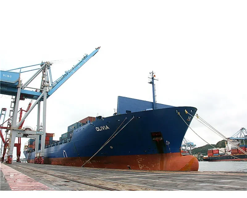 MSC EXPRESS III Container Ship IMO 9374571 photo 10
