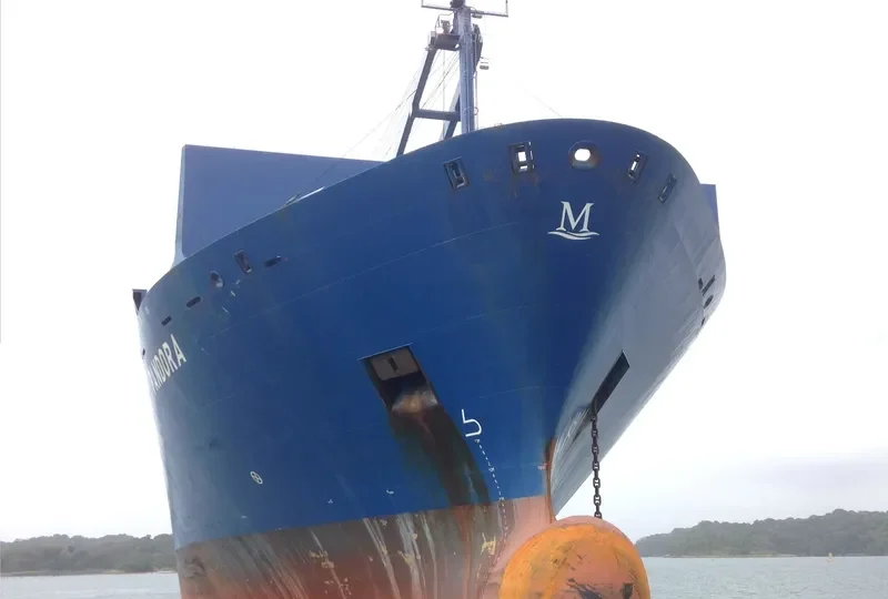 XPRESS KANGCHENJUNGA Container Ship IMO 9374595 photo 6