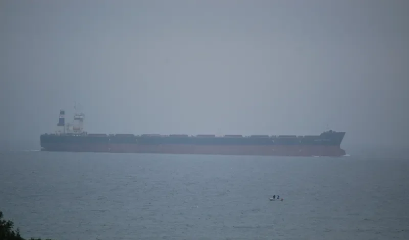 UNIQUE CARRIER Bulk Carrier IMO 9374832 photo 7