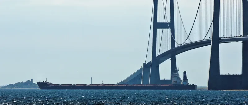 UNIQUE CARRIER Bulk Carrier IMO 9374832 photo 8