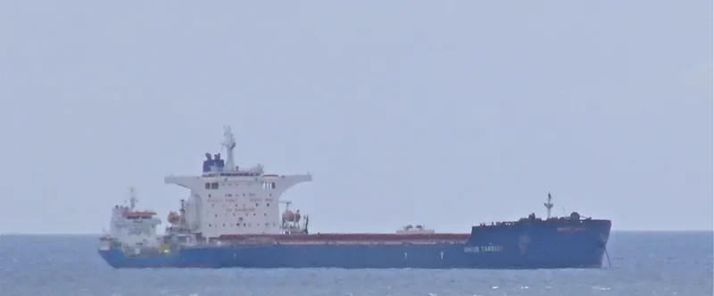 UNIQUE CARRIER Bulk Carrier IMO 9374832 photo 10