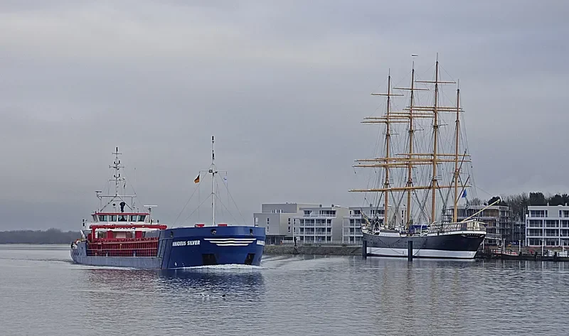 AMADEUS SILVER General Cargo IMO 9374909 photo 5