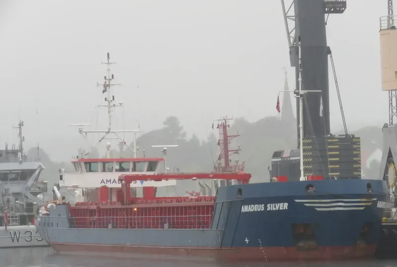 AMADEUS SILVER General Cargo IMO 9374909 photo 6