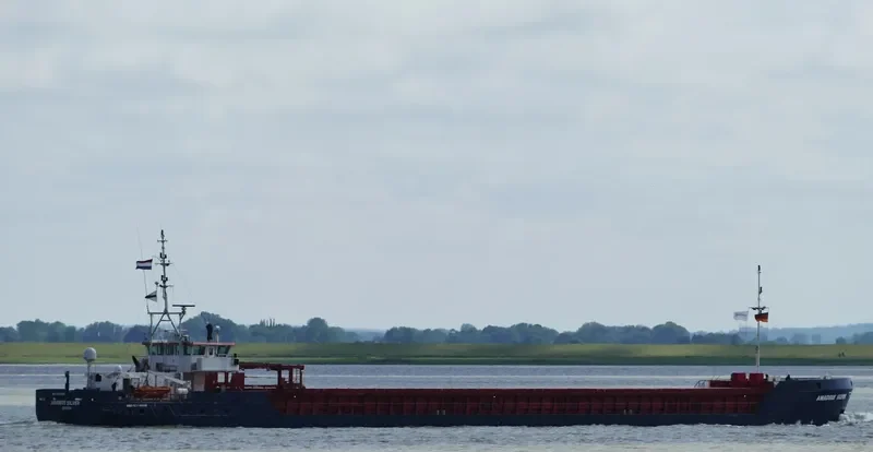 AMADEUS SILVER General Cargo IMO 9374909 photo 9