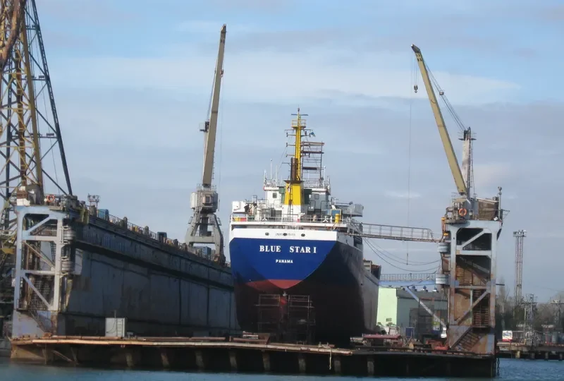 BLUE STAR I General Cargo IMO 9375159