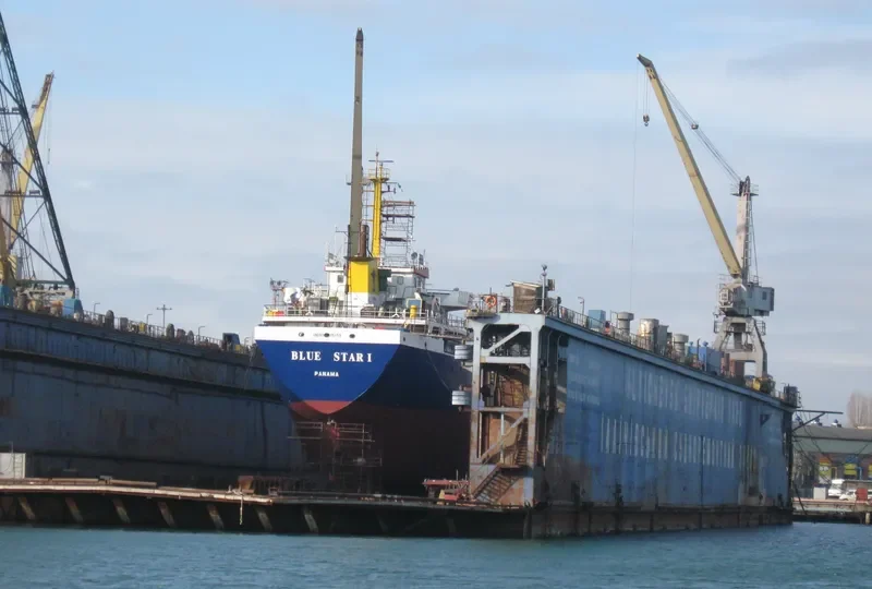 BLUE STAR I General Cargo IMO 9375159 photo 2