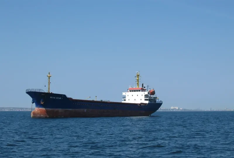 BLUE STAR I General Cargo IMO 9375159 photo 3