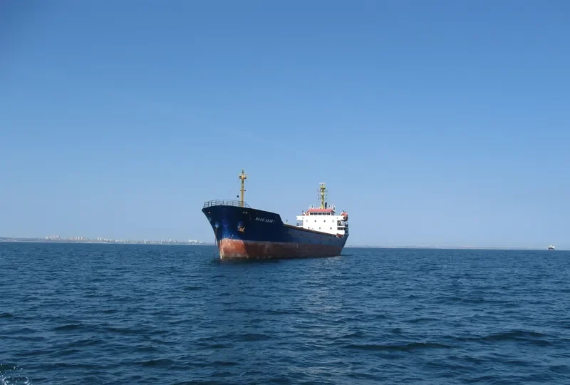 BLUE STAR I General Cargo IMO 9375159 photo 4