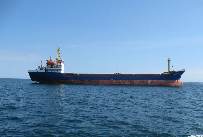 BLUE STAR I General Cargo IMO 9375159 photo 5