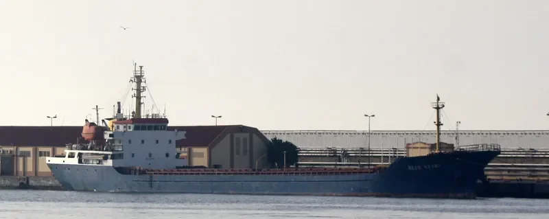 BLUE STAR I General Cargo IMO 9375159 photo 7